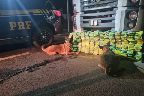 A Polícia Rodoviária Federal (PRF)